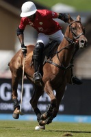 Polo Gold Cup 2024.